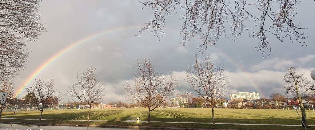 Why Families Love Living in Pickering’s Liverpool Community